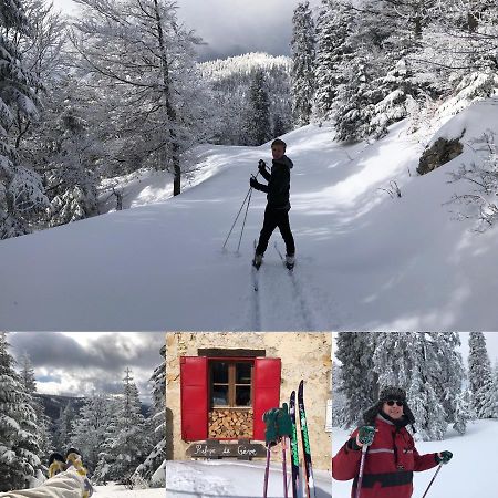 Plenouze Daire Autrans-Meaudre-en-Vercors Dış mekan fotoğraf