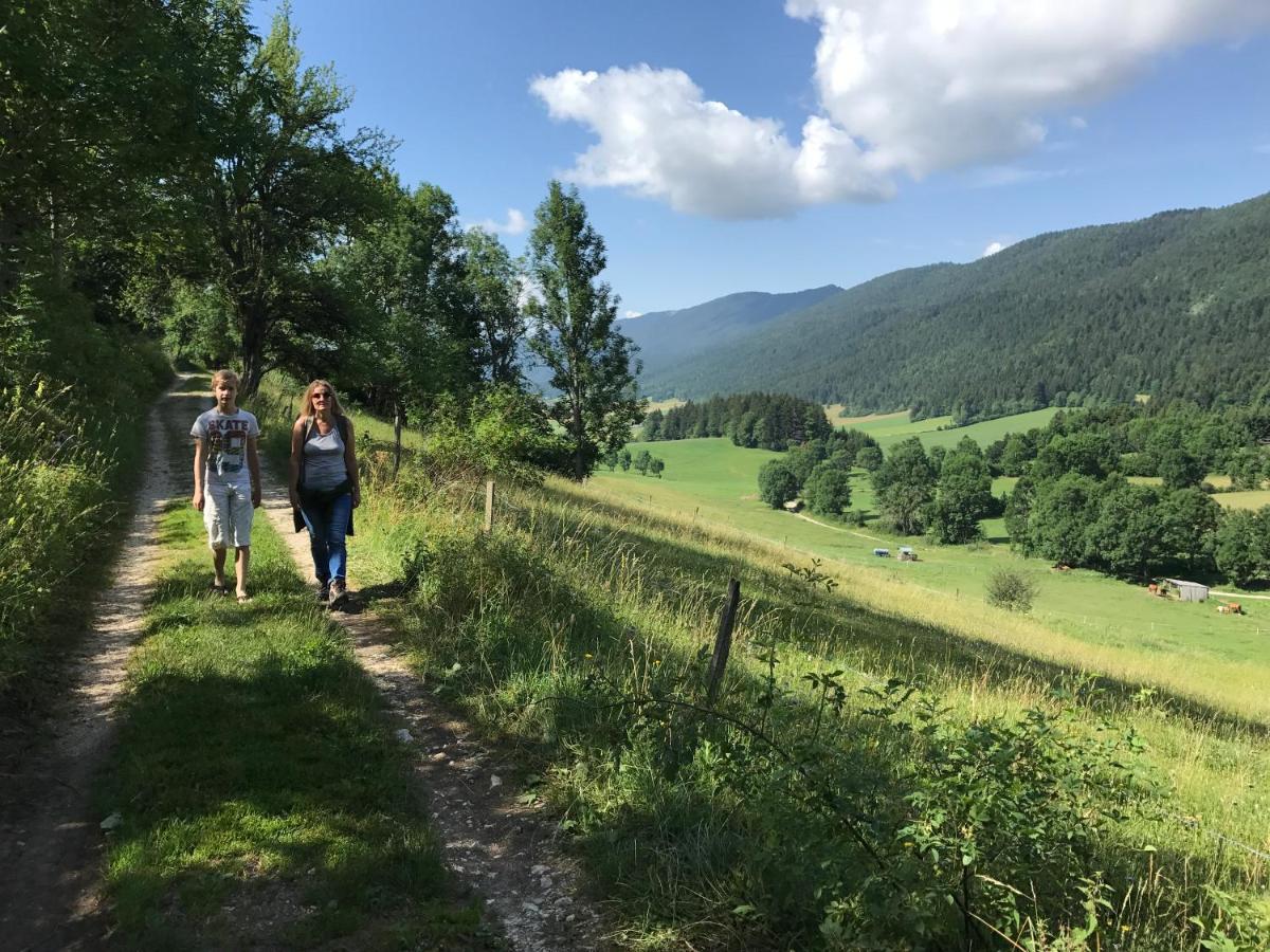 Plenouze Daire Autrans-Meaudre-en-Vercors Dış mekan fotoğraf