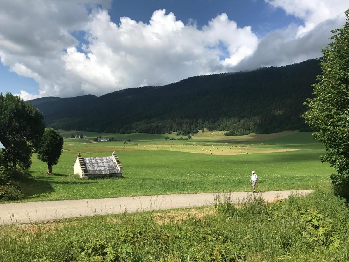 Plenouze Daire Autrans-Meaudre-en-Vercors Dış mekan fotoğraf