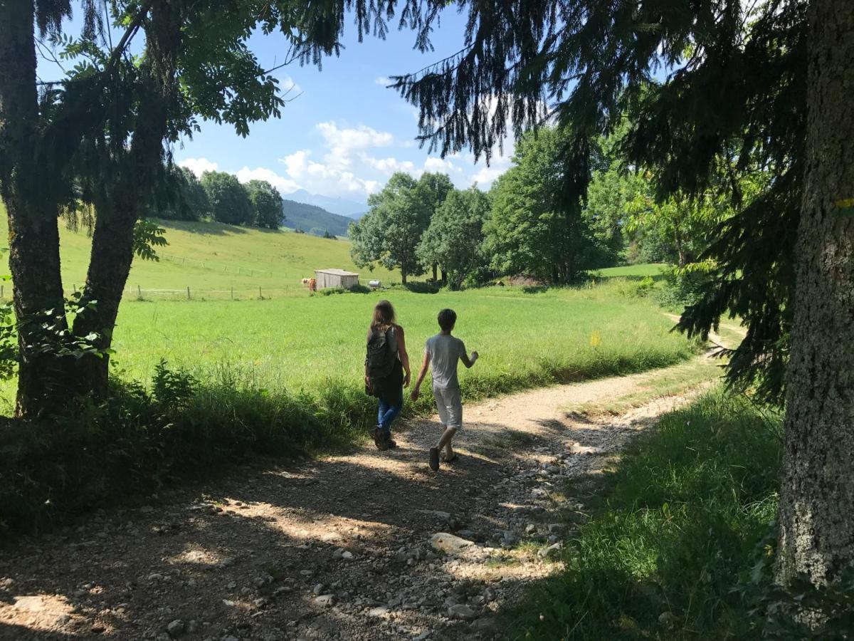 Plenouze Daire Autrans-Meaudre-en-Vercors Dış mekan fotoğraf