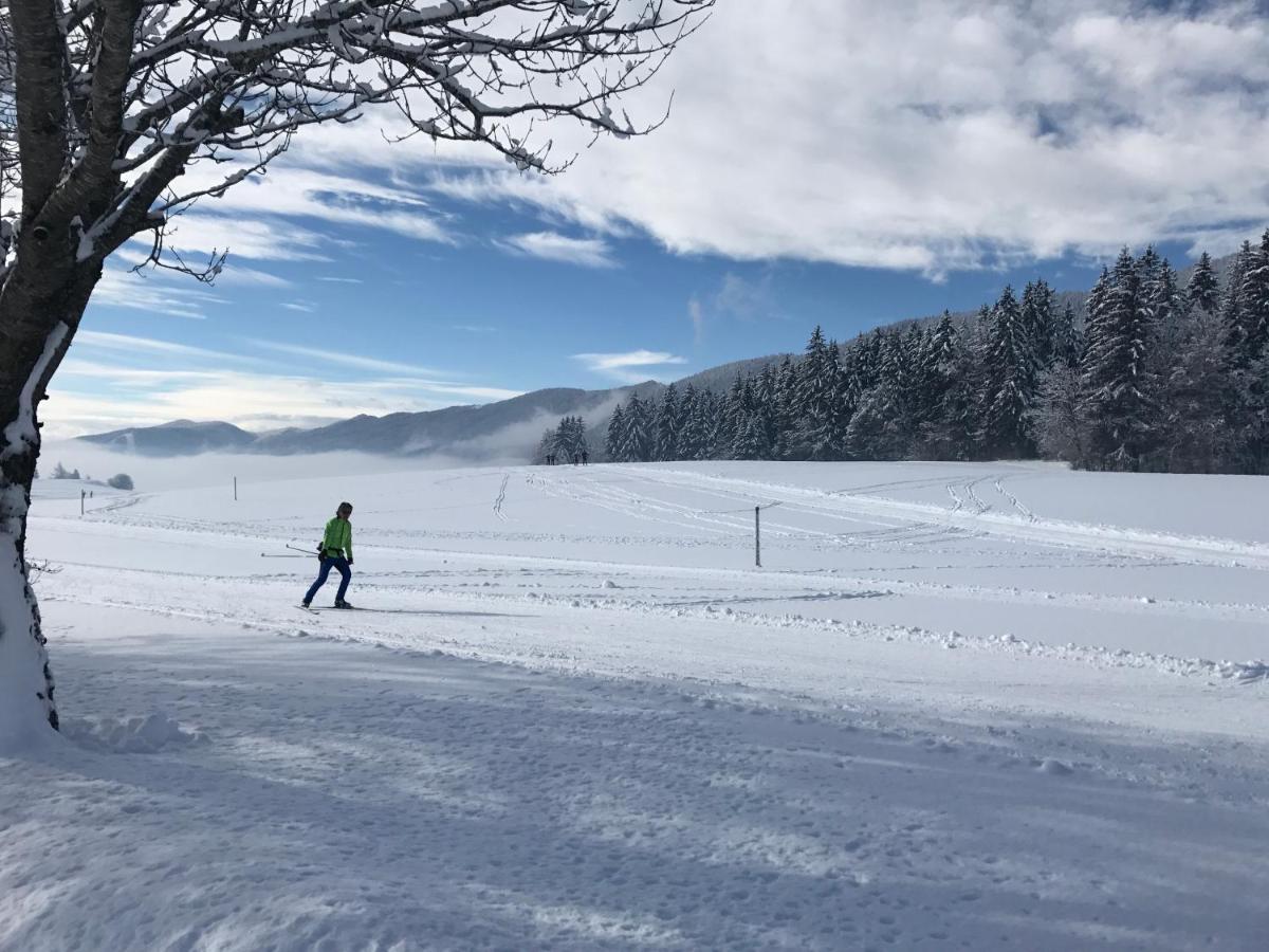 Plenouze Daire Autrans-Meaudre-en-Vercors Dış mekan fotoğraf